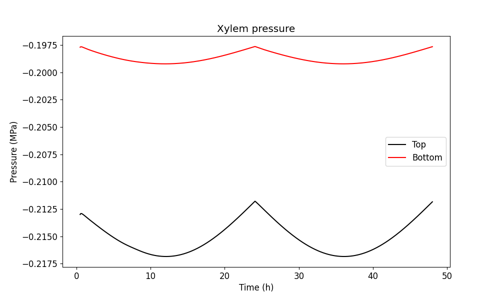 Figure of the xylem pressure in top and bottom of the tree in the simulation
